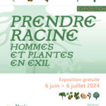 Prendre racine